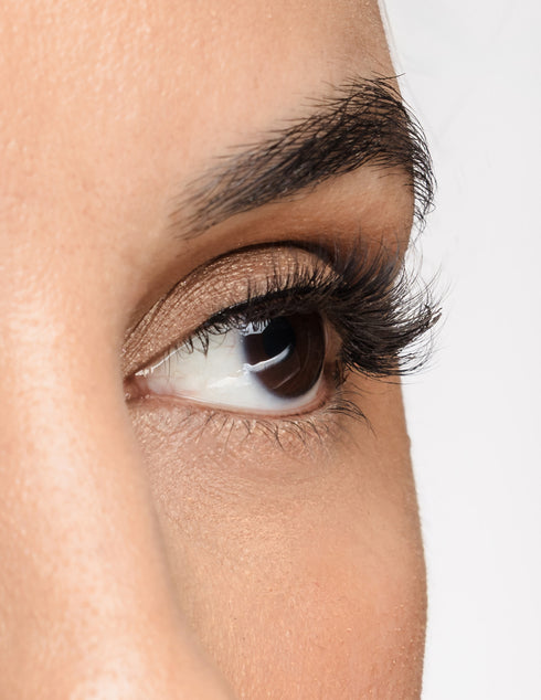 Gold Standard Lash Style