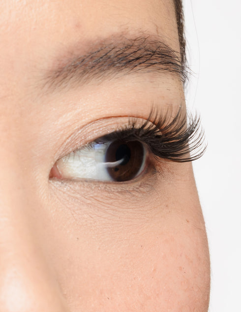 Hold That Thought Half Lash Style