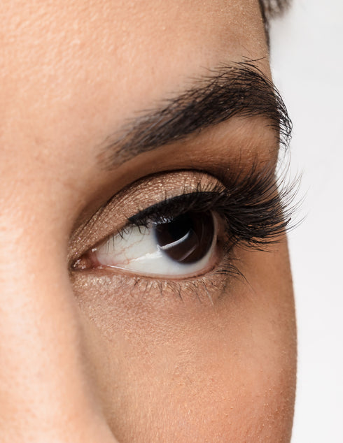 All the Right Moves Lash Style
