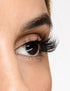 Spoken For Lash Style