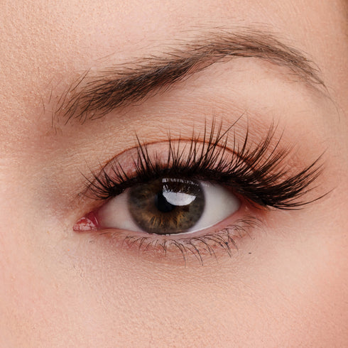 A Touch of Heaven Lash Style & Glue Bundle