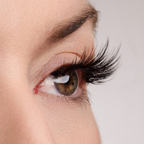 A Touch of Heaven Lash Style & Glue Bundle