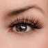 Above & Beyond Lash & Glue Bundle