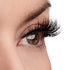 Above & Beyond Lash Style