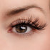 BFF (Best Friend Forever) Lash & Glue Bundle