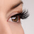 BFF (Best Friend Forever) Lash & Glue Bundle