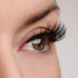Goal Digger Lash & Glue Bundle