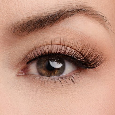 Perfect Vision Lash & Glue Bundle