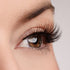 Perfect Vision Lash & Glue Bundle