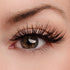 Role Model Lash & Glue Bundle