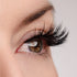 Role Model Lash & Glue Bundle