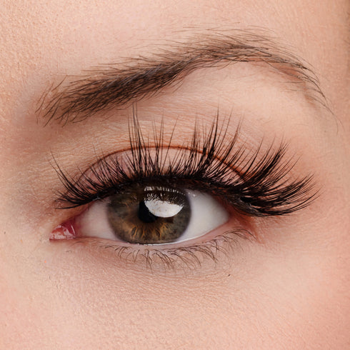 Timeless Beauty Lash & Glue Bundle