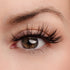 Timeless Beauty Lash & Glue Bundle