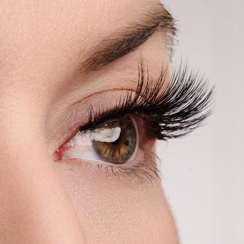 Timeless Beauty Lash & Glue Bundle