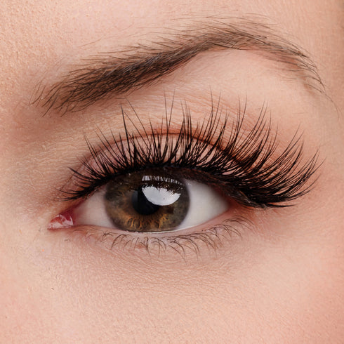 Woman of Worth (WOW!) Lash & Glue Bundle