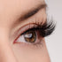 Woman of Worth (WOW!) Lash & Glue Bundle