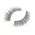 LIMITED EDITION Crystal Lashes