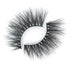 Positively Captivating Lash Style