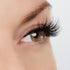Woman of Worth (WOW!) Lash Style