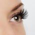 Timeless Beauty Lash Style