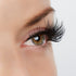 Center of Attention Lash Style