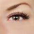 Above & Beyond Lash Style