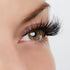 Light up the Room Lash Style