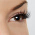 Perfect Vision Lash Style