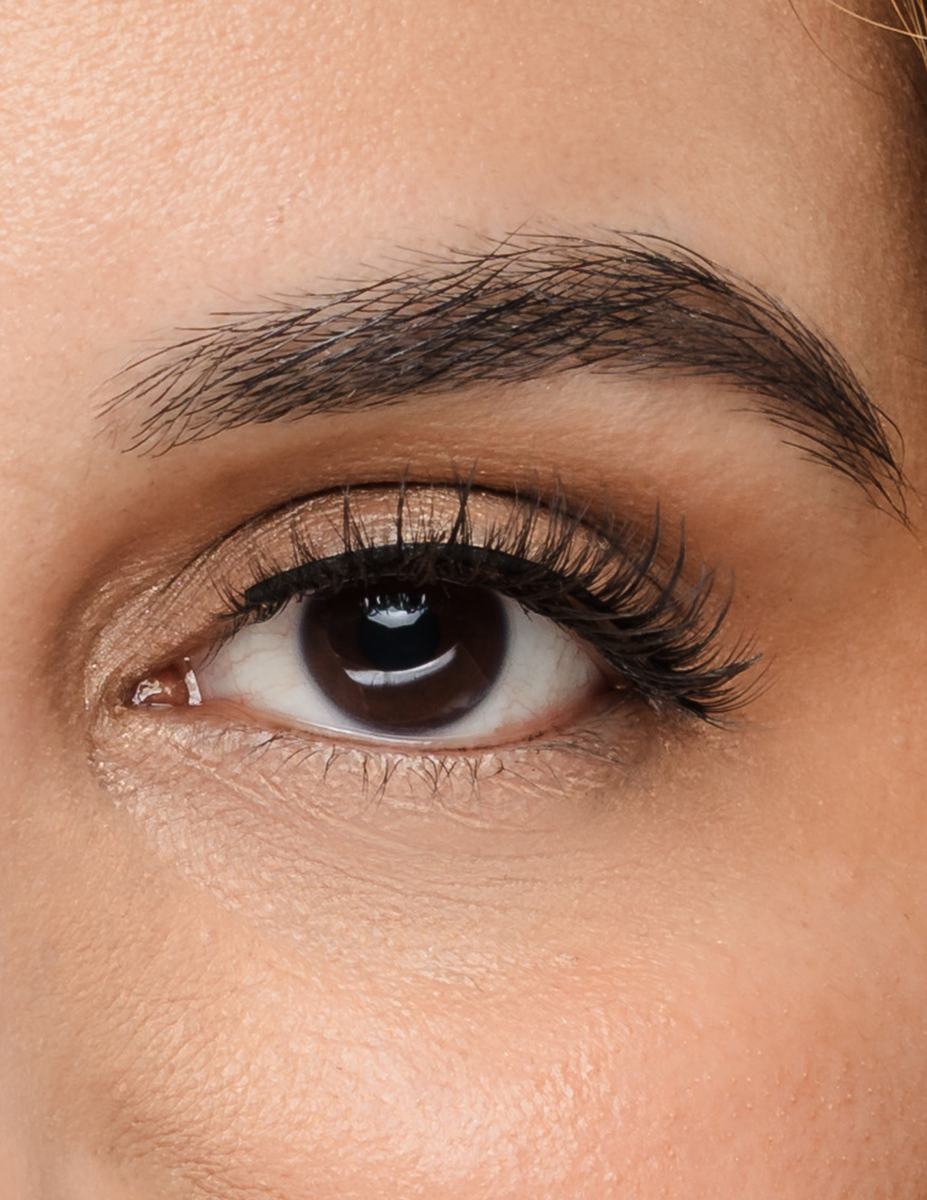 True Beauty Lashes | In Full Bloom Lash Style